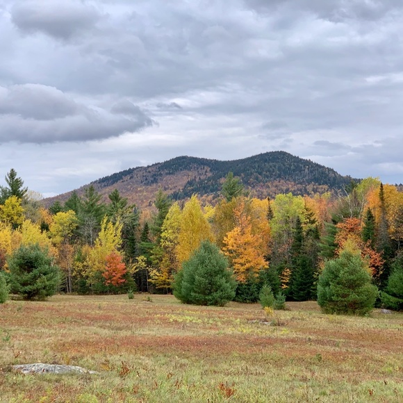 ! diane - Picture 5 of 9